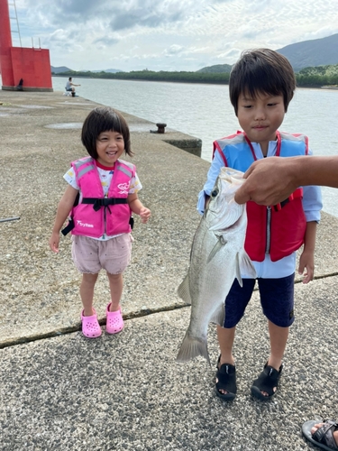 スズキの釣果