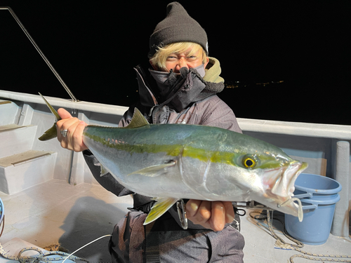 メジロの釣果