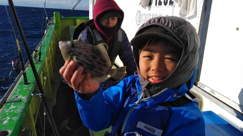 カワハギの釣果