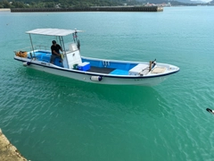 カンパチの釣果