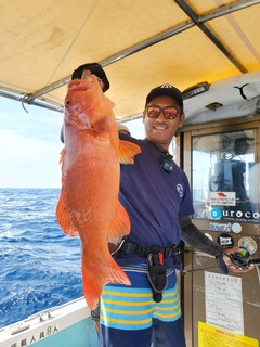 アカジンミーバイの釣果