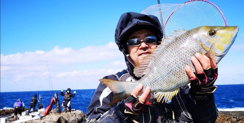 フエフキダイの釣果