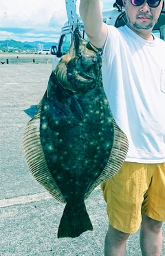 ヒラメの釣果