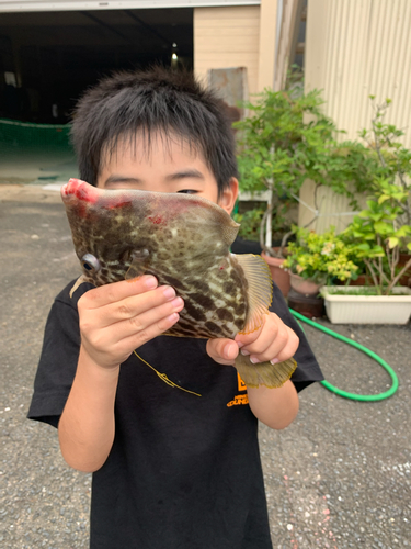 カワハギの釣果