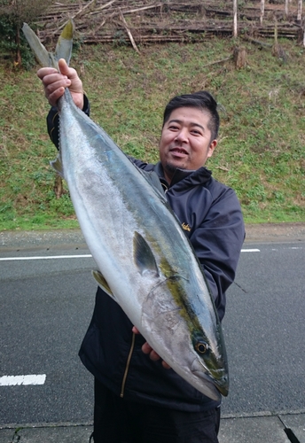 ブリの釣果