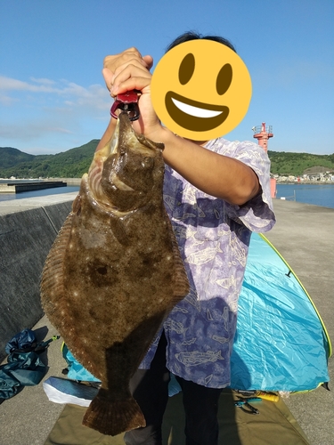 ヒラメの釣果