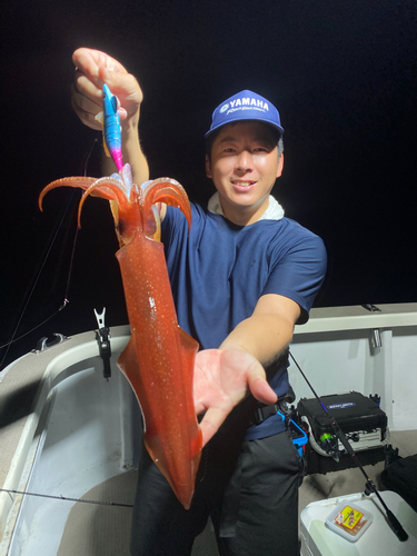 シロイカの釣果