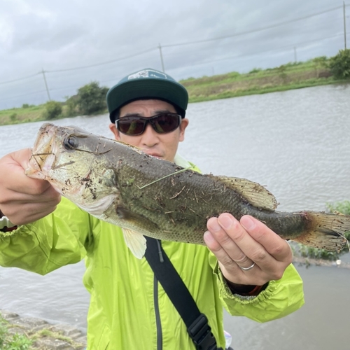 釣果