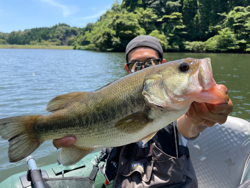 ラージマウスバスの釣果