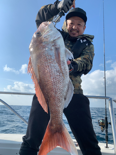 マダイの釣果