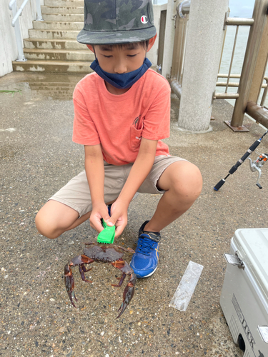 ワタリガニの釣果