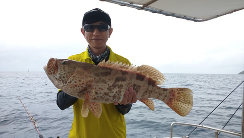 タカバーミーバイの釣果