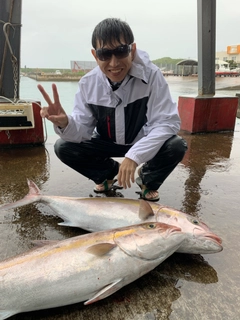 ヒレナガカンパチの釣果