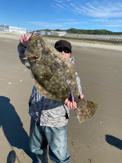 ヒラメの釣果