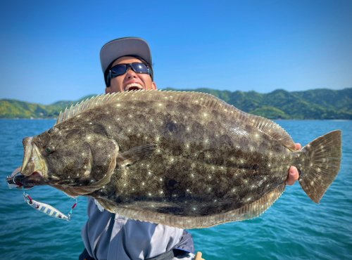 ヒラメの釣果