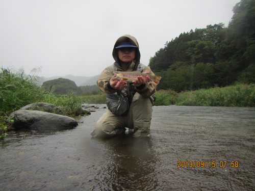 ヤマメの釣果