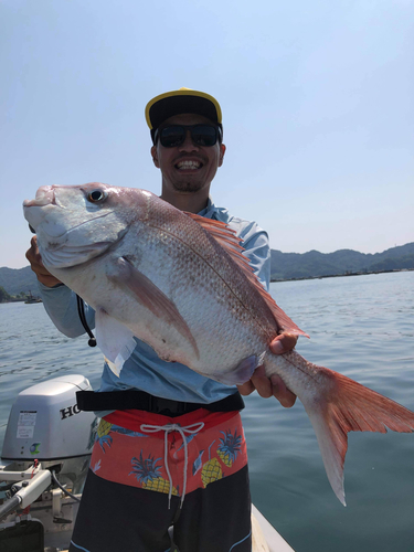 マダイの釣果