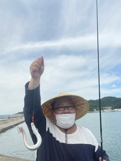 アナゴの釣果