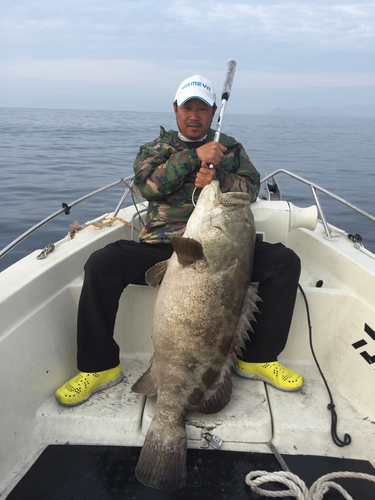 チャイロマルハタの釣果