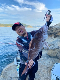 タイの釣果