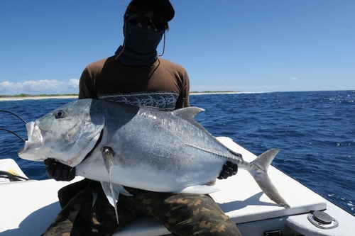 GTの釣果