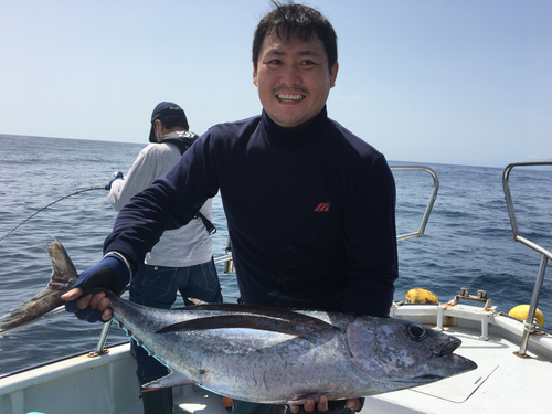 ビンチョウマグロの釣果