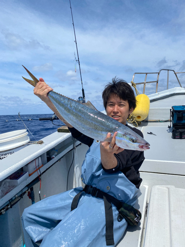 ツムブリの釣果