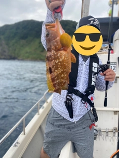 アコウの釣果