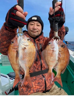 マダイの釣果