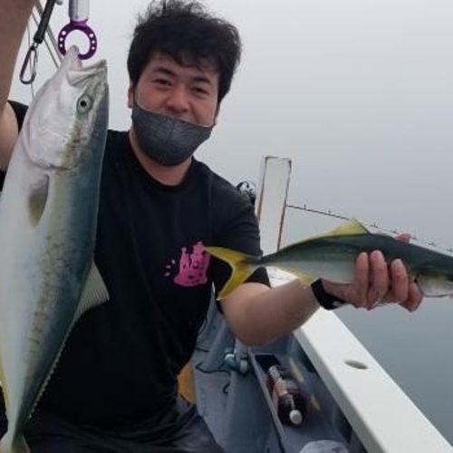 ワラサの釣果