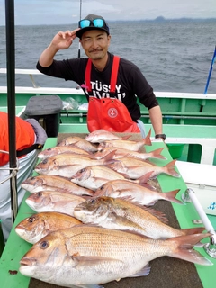 マダイの釣果