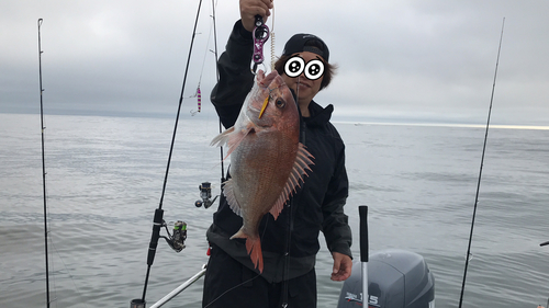 マダイの釣果