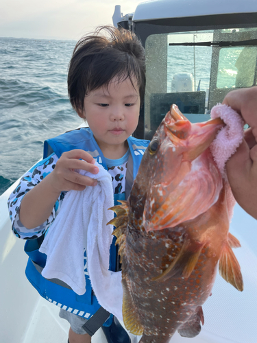 アコウの釣果