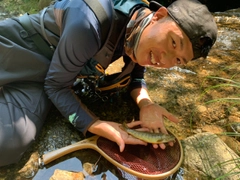 イワナの釣果