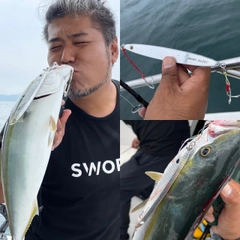 メジロの釣果