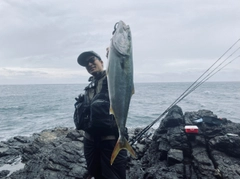 メジロの釣果