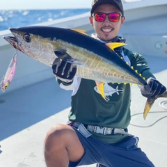 キハダマグロの釣果