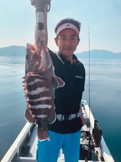 マハタの釣果