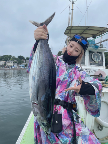 カツオの釣果