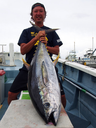 キハダマグロの釣果