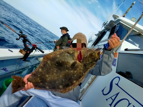 ヒラメの釣果