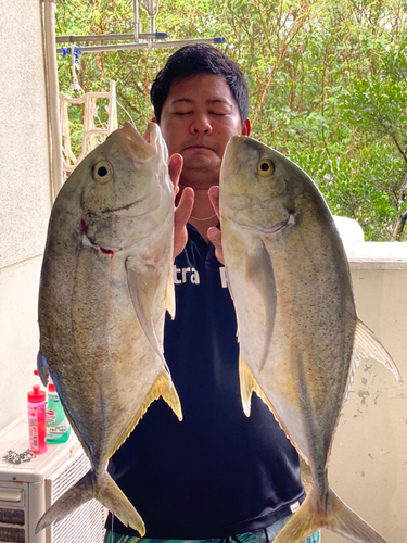 オニヒラアジの釣果