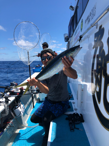 ツムブリの釣果