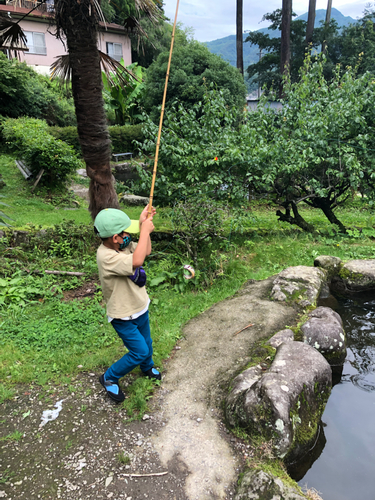 イワナの釣果