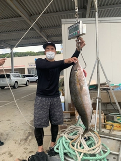 カンパチの釣果