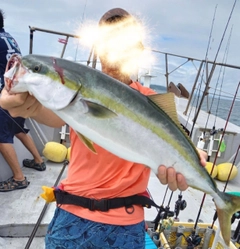 ハマチの釣果