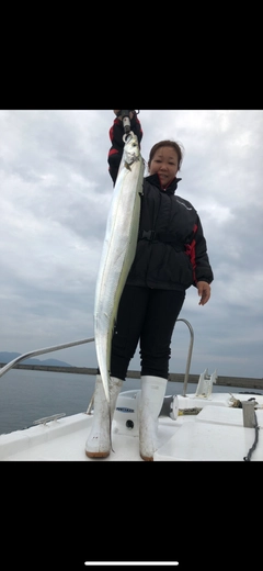 タチウオの釣果