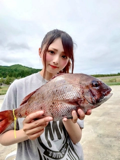 タイの釣果