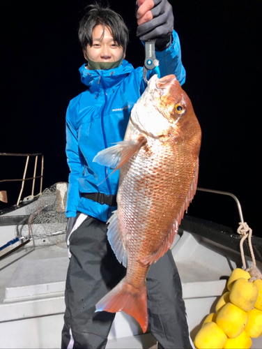 マダイの釣果