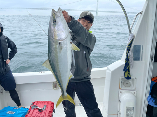 ブリの釣果